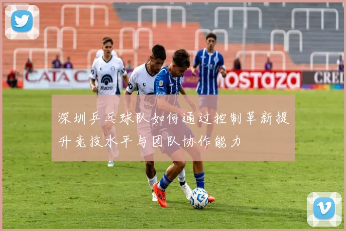 深圳乒乓球队如何通过控制革新提升竞技水平与团队协作能力